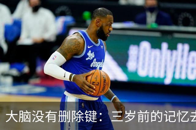 大脑没有删除键：三岁前的记忆去哪了？