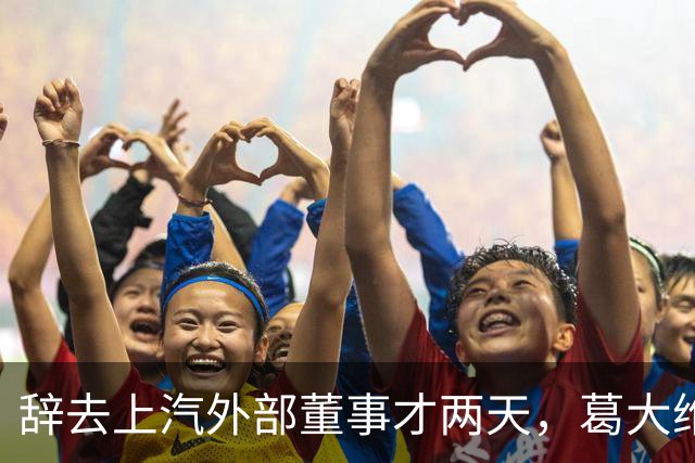 辞去上汽外部董事才两天，葛大维被查！