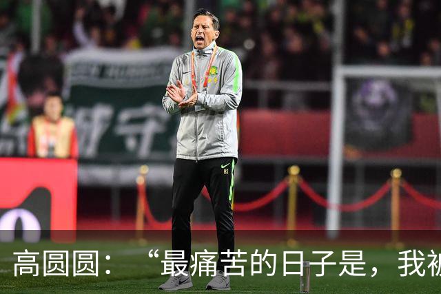 高圆圆：“最痛苦的日子是，我被关起来了！”
