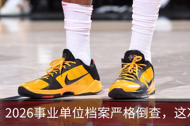 2026事业单位档案严格倒查，这次彻底动真格！