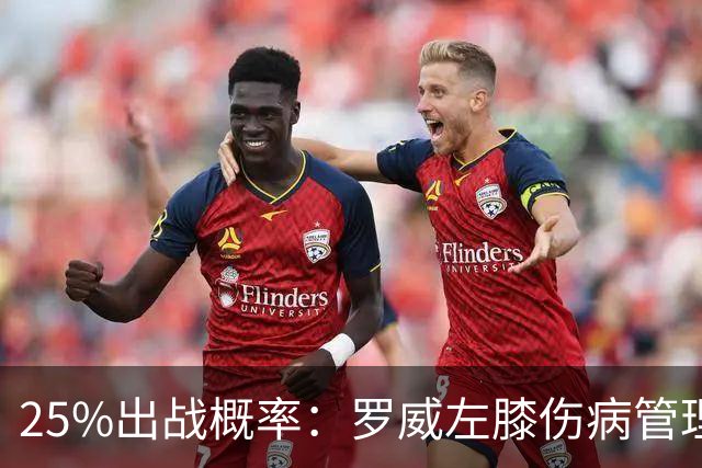 25%出战概率：罗威左膝伤病管理，开拓者主场对灰熊恐缺他